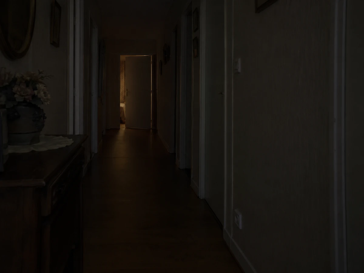 Aucune veilleuse entre la chambre et les toilettes : photo